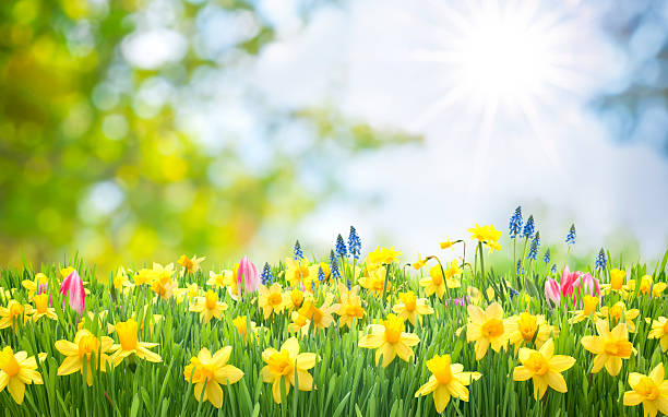 Welcome to the first day of Spring!